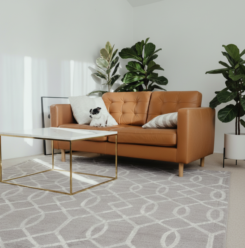 Alfombra Geil MOH104A-8-DGW-8X10